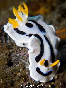 I allways have a smile on my face ! by Beate Seiler 